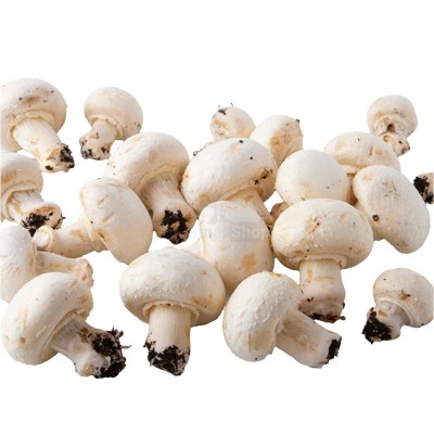 Шампиньоны свежие 500 г - купить в Япар-Янбеково